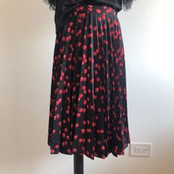 J.  Crew Skirt Size2