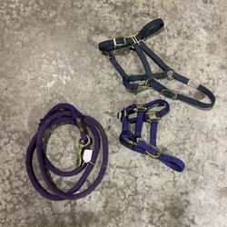 Lot of halters and lead rope