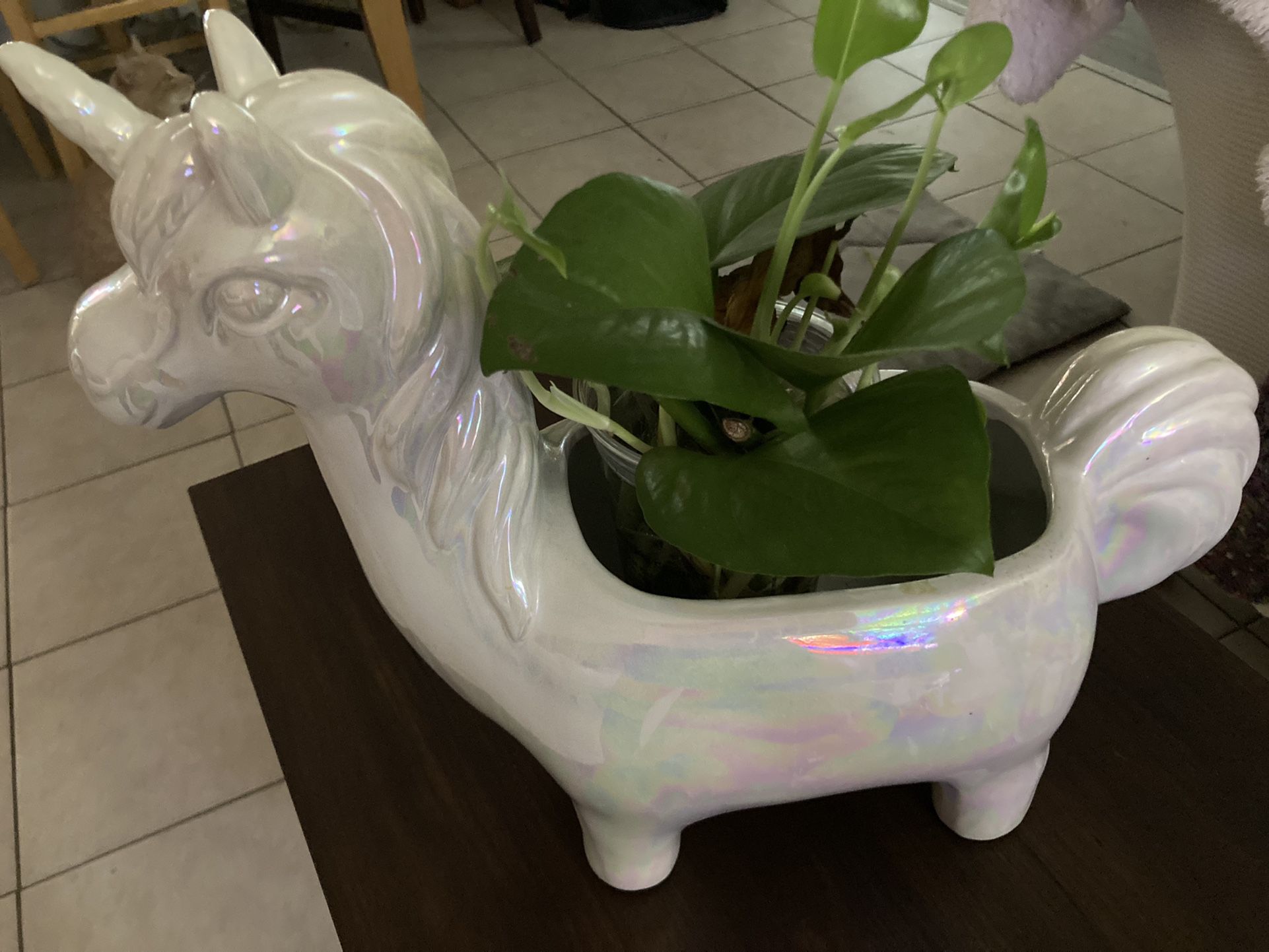 Unicorn plant holder🪴 🦄 