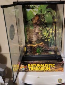 NEW Zoomed Naturalistic Terrarium for small reptile
