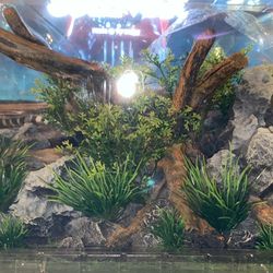 Fish tank decorations