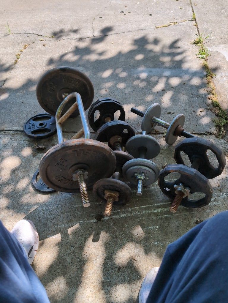 Standard Size 1" Weights, Curl Bar, 24 Weights, 5 Bar Holders