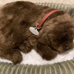 Perfect Petzzz -Chocolate Lab Interactive Plush Toy