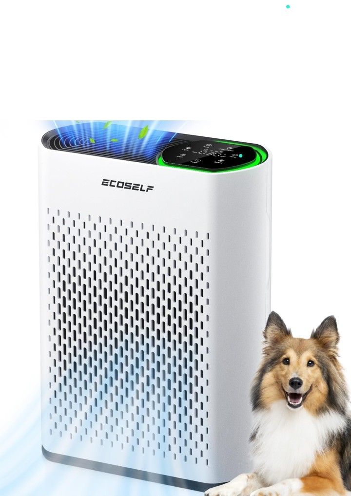 Air Purifier