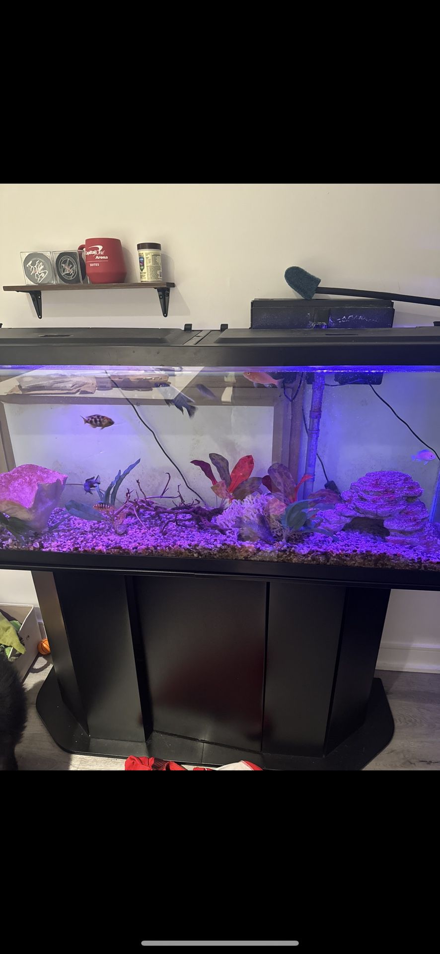 75 Gallon Aqueon Fish Tank W/ Stand Included