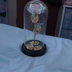 Rose Light