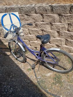 Schwinn Purple Cruiser Bike with Front Basket