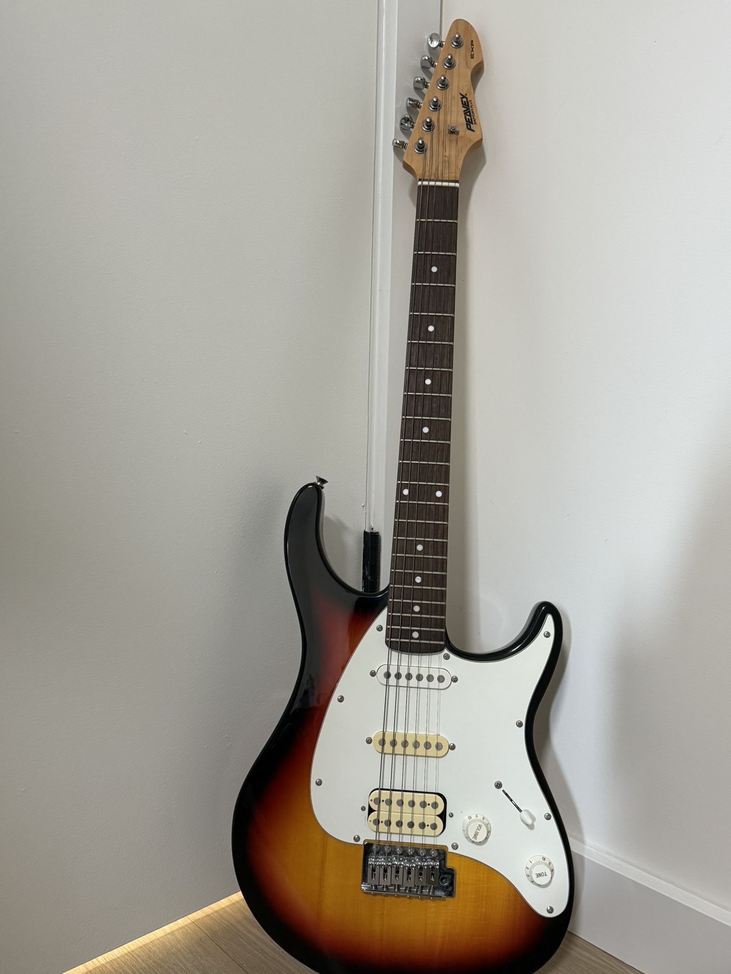 peavey guitar raptor plus
