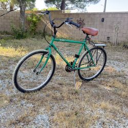 Raleigh M-20 21-Speed Mountain Bike