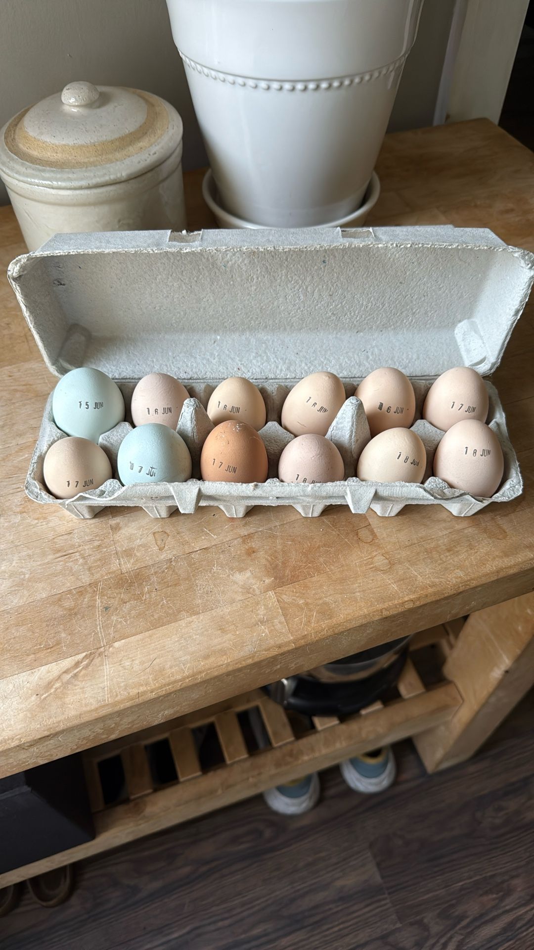 Farm Fresh Eggs