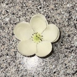 cherry blossom hair clip