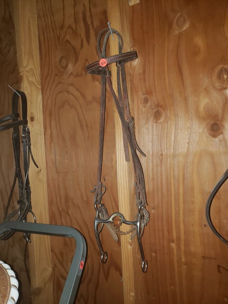 Lots of bridles