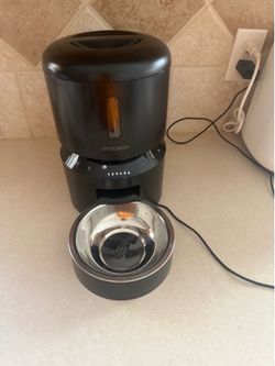 Cat feeder