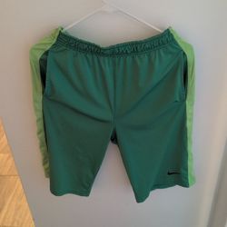 Nike Dri-fit Shorts XL