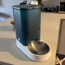 Automatic Cat Food Dispenser