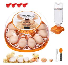 12 Egg Incubator