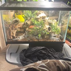 10 Gallon Terrarium 