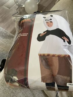 Kung Fu Panda Costume 