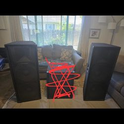 600 For Both -  2 Peavy Speakers 