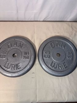 Two 25 lb Weight Plates