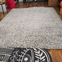 Free Beige/Off white area rug! 