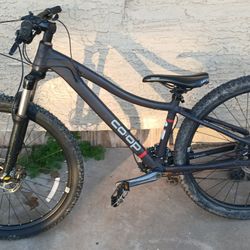 Selling my Specialized Rockhopper 29er