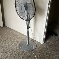 Pedestal Fan