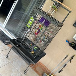 Parrot Cage