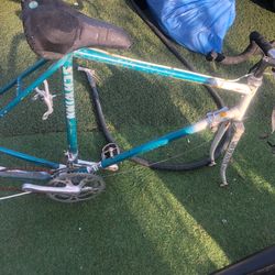 Vintage Schwinn 1980