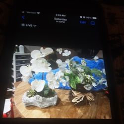Silk Plants