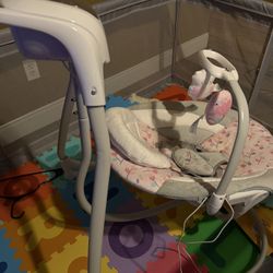 baby Swinger