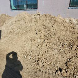 Good Dirt. Buena Tierra