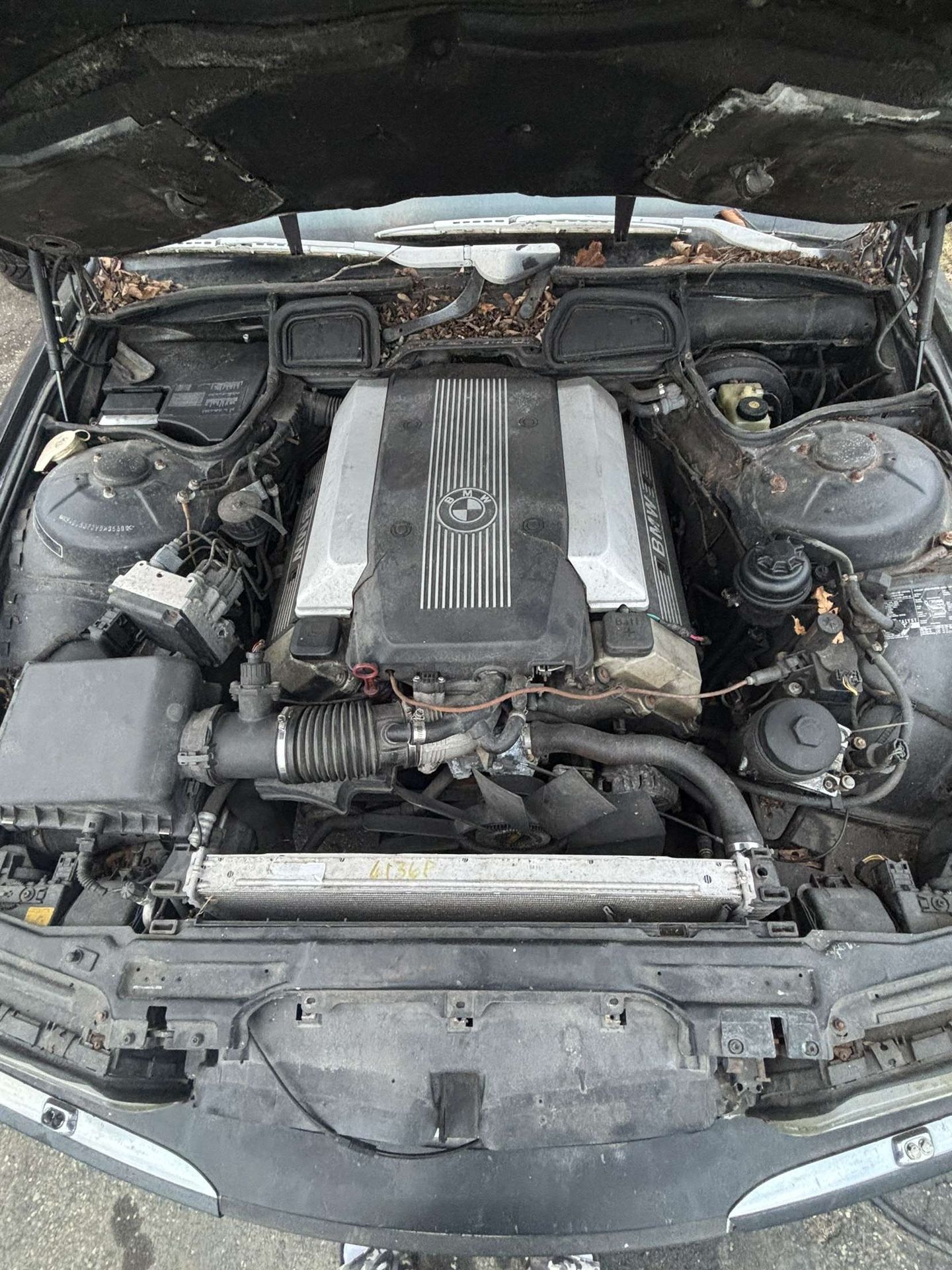 4.4L M62B44 V8
