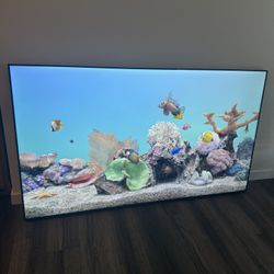 75” Flatscreen Smart TV TCL/ Roku