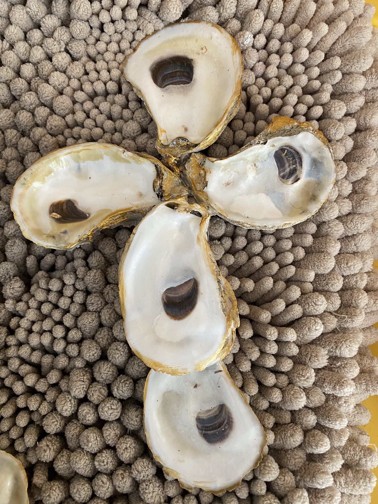 Oyster Shell Crosses