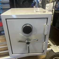 Brand new Sanctuary safe 1.69 cf