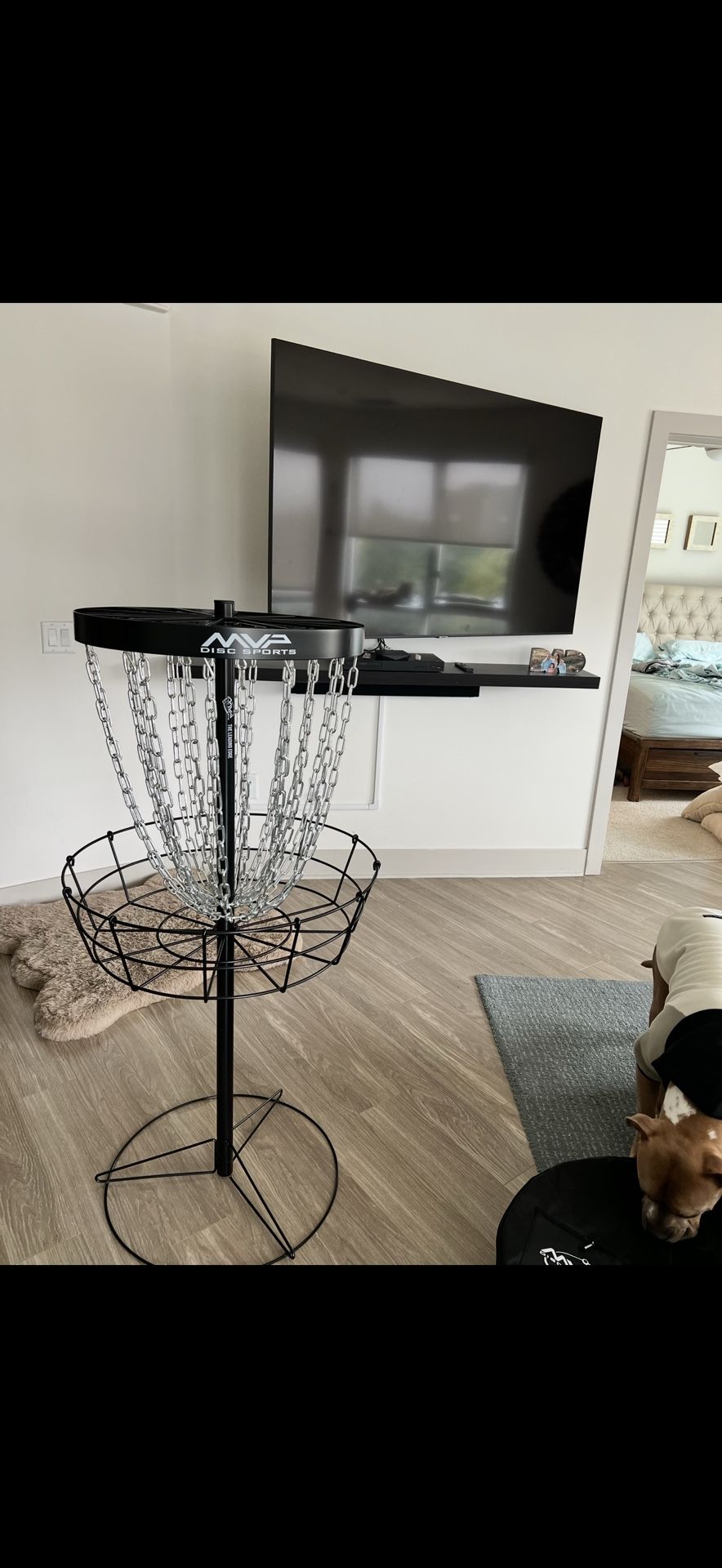 MVP Disc Golf Putting Basket