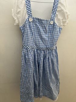 Dorthy From Wizard Of OZ Custome