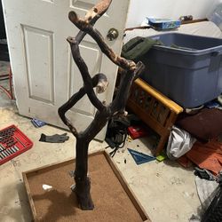 Bird Perch