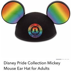 Rainbow Mickey Mouse Ears 