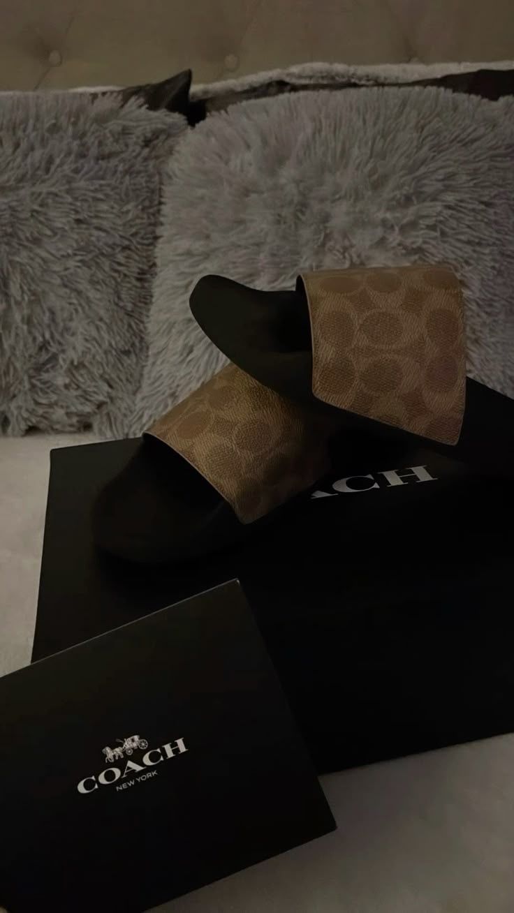coach slides