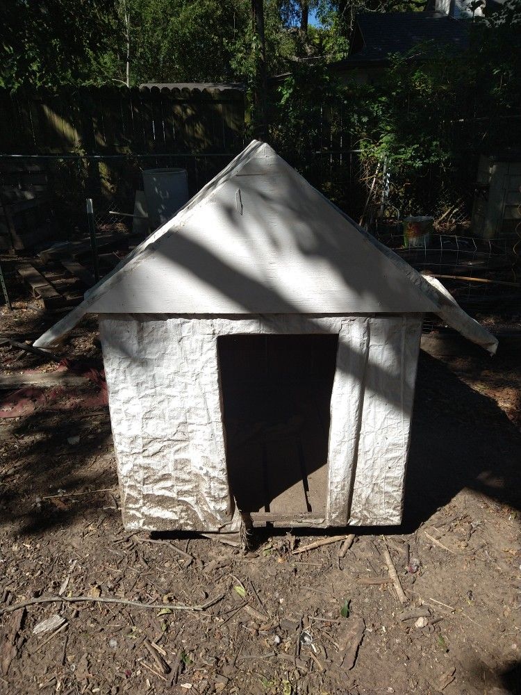 Large Dog House 