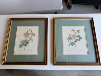 Pair of Framed Botanical Rose Prints