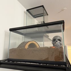 10 Gallon Glass Tank  with lid