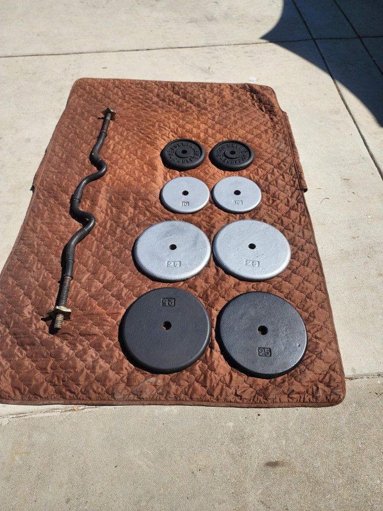 Standard Weights With Curl Bar.