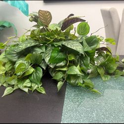 Artificial Plant 