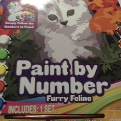 Paint By Number