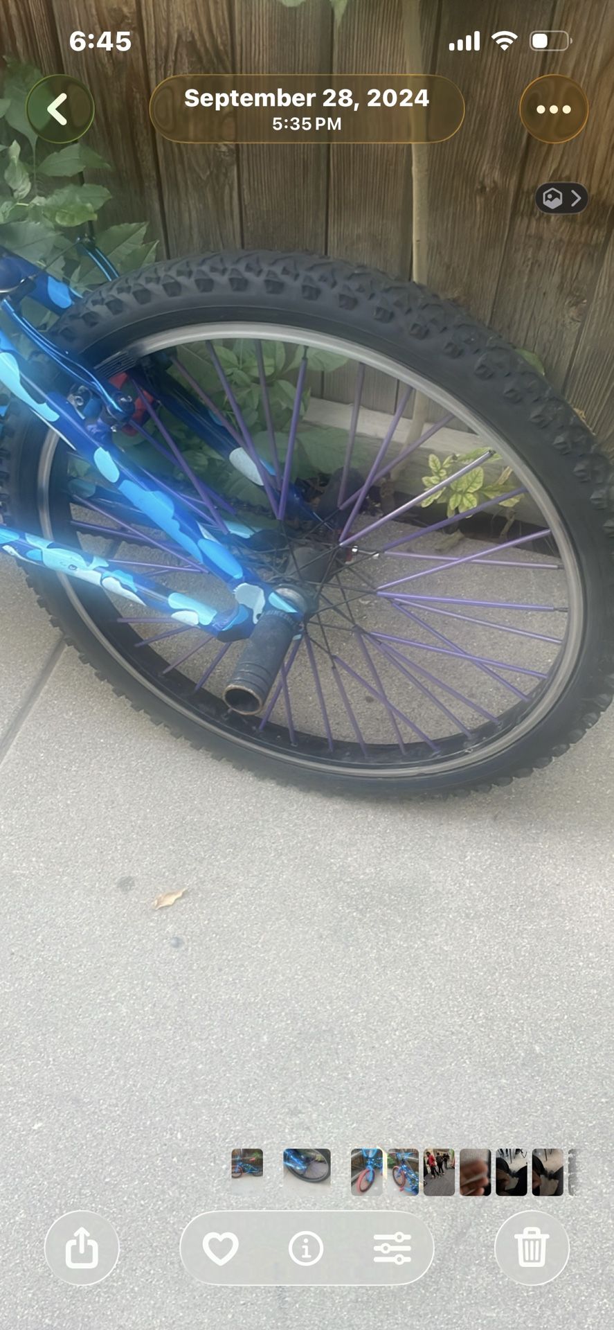 So Cal Flyer Wheelie Bike Popped Rear Tire