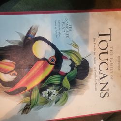 Toucan Lithograph Collection By Edward Lear