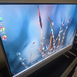 Inspiron 27 All in one touchscreen computer with Canon Pixma printer/scanner and Dell speakers